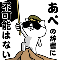 "ABE"name/Military cat