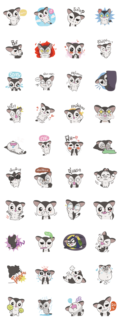 Noo Sujai Sugar Glider Noo Sujai Sugar Glider