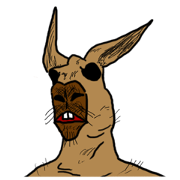 kangaroo's life kangaroo's life