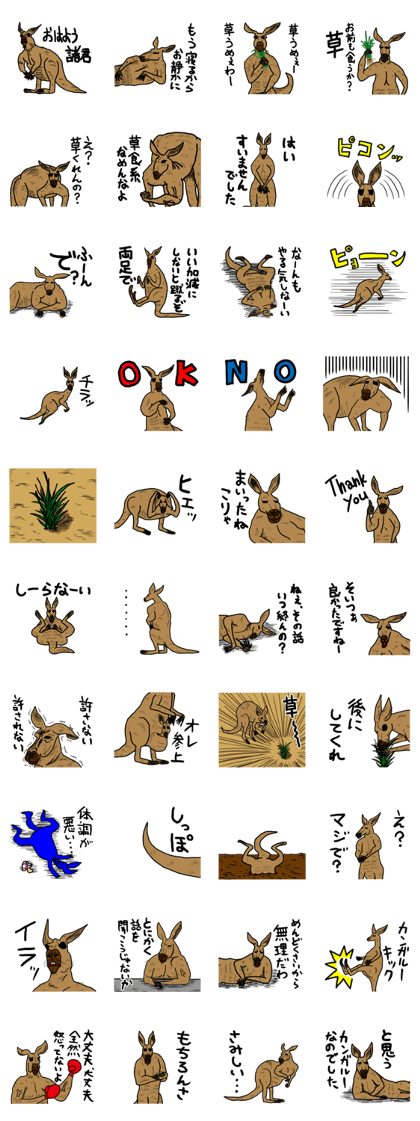 kangaroo's life kangaroo's life