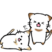 Couple de NyanNyan Couple de NyanNyan