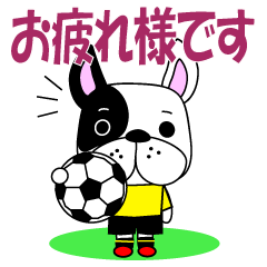サッカー犬 黄黒のユニ版