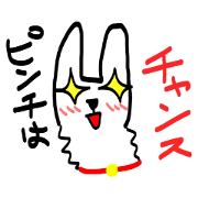 ARUARUALPACA ARUARUALPACA