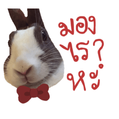 Patty_20200221004347