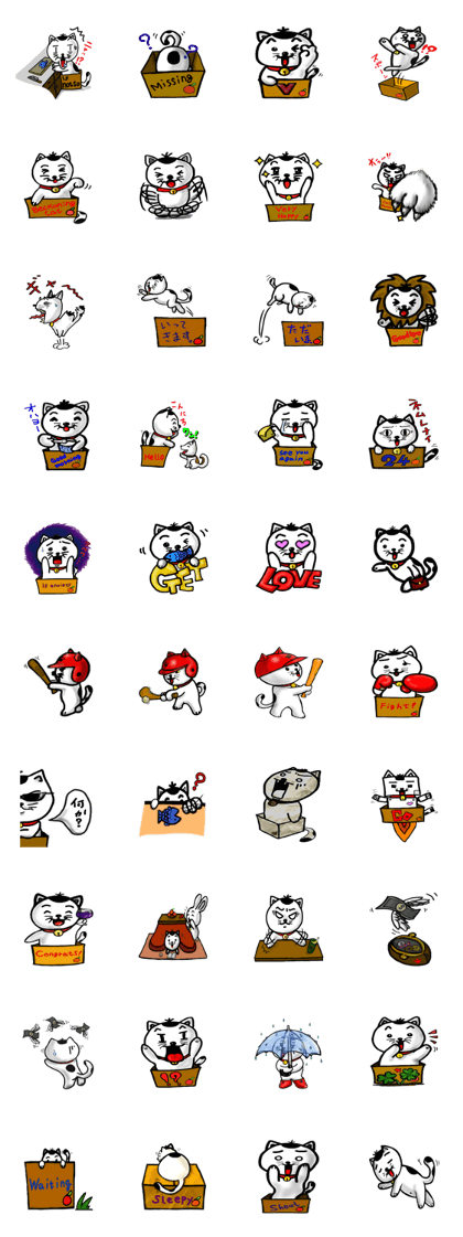 Cat and box2 Cat and box2