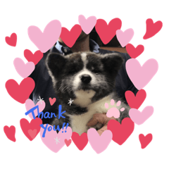 akiko_20200219181154