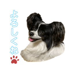 nana-chan3
