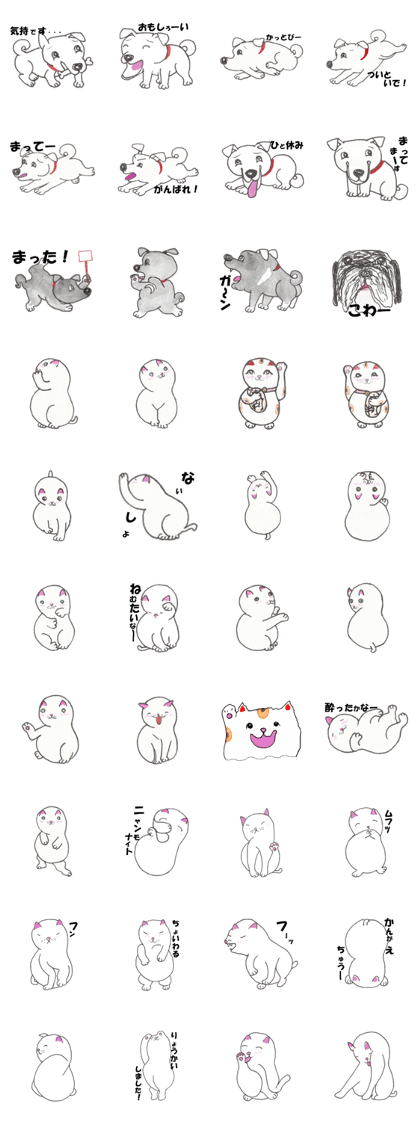 Innocent of cat and dog Innocent of cat and dog