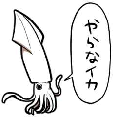 talking squid
