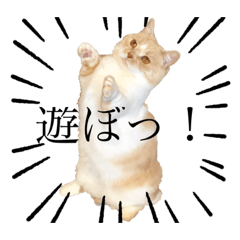 junko_20200219221051