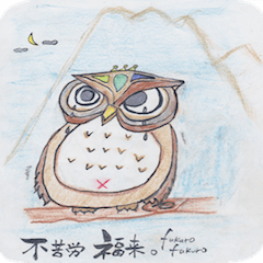 owl owl sticker
