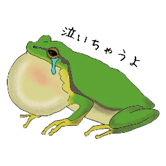 Realistic frog sticker