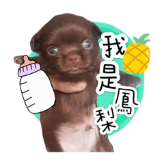寶的世界