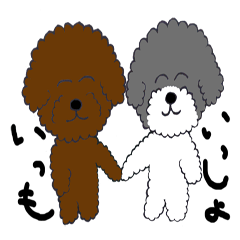 Moko and Mickey's good friend toy poodle