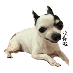 厭世吉汪汪