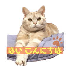 yuto_20200220004119