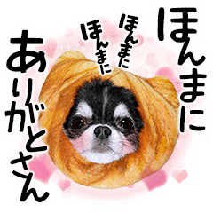 一族だョ 全員集合 あずき一族デビュー 編 Lineクリエイターズスタンプ Stamplist