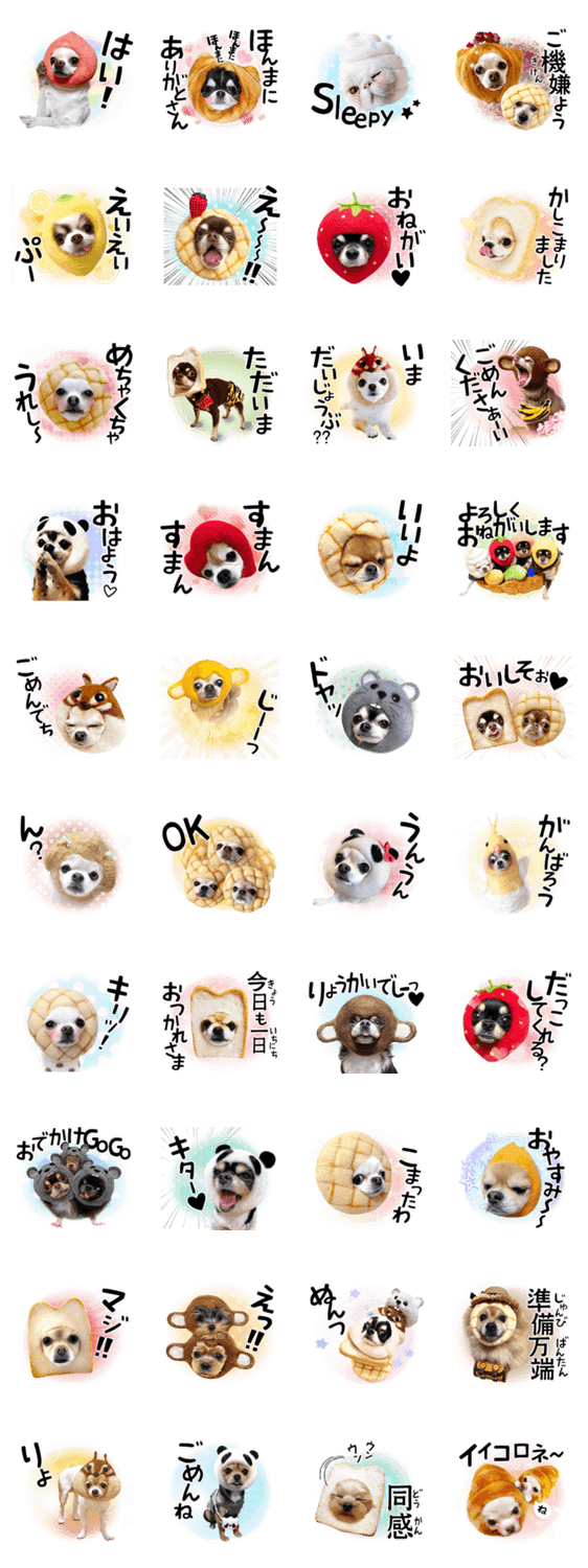 一族だョ 全員集合 あずき一族デビュー 編 Lineクリエイターズスタンプ Stamplist