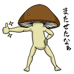 Mr. shiitake mushroom