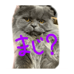 kazuki_20200220132030