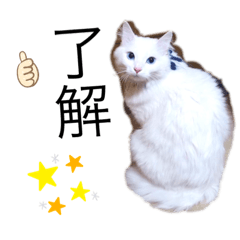 chiiisariiriikohakurena