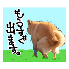 march_20200220133434