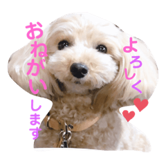 HANA_20200219205847