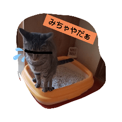 nanana_20200220110250