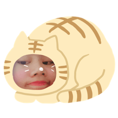 刺蝟表情包