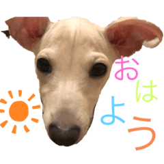 riho_20200220191733