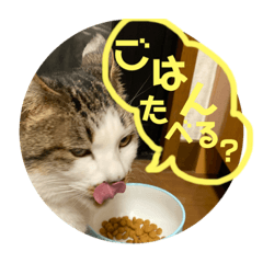 MATSU_20200220201032