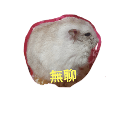 曉米ㄉFunny Life
