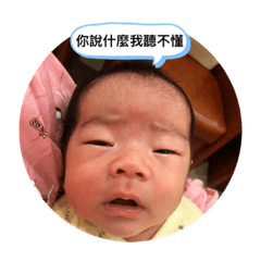 巴瑞弟的日常