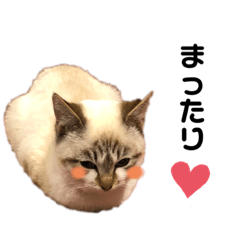 SMILE_20200220192716