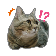 Alice_20200223090847