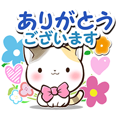 Ribbon and Calico cat