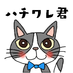 Bicolor cat hachiware