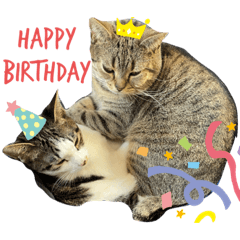 Asuka_20200220231041