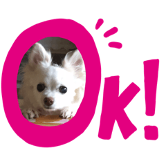 kaito_20200220230629