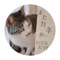 MATSU_20200220234534