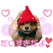 LULUmama_20200221004838