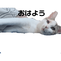 yuina_20200221005638