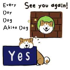 Every Day Dog Akita dog