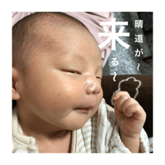 suzu_20200221012108