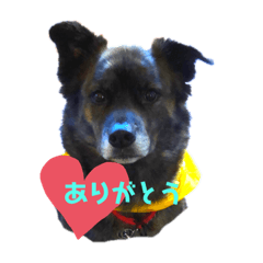 ikumi_20200221015239