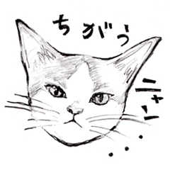 Agreeable Dogs & Tsundere Cats