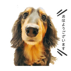 mizuki_20200221074136