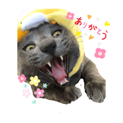 matsu_20200221100424