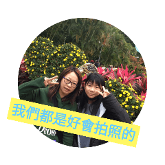 士林鬱金香