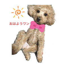 kaho_20200221124206